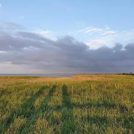 Tranquil Oasis With Pool - By Traum * Ørsted