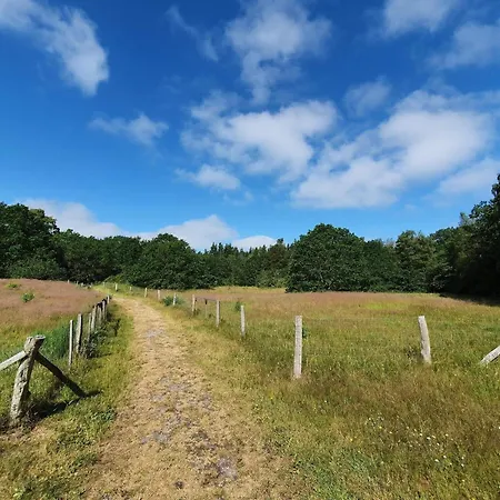 Tranquil Oasis With Pool - By Traum * Ørsted