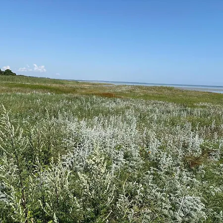Tranquil Oasis With Pool - By Traum *