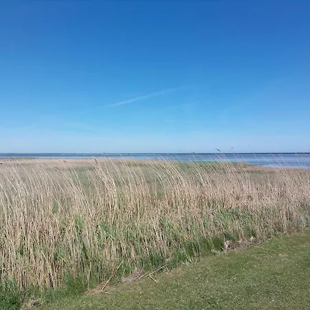 Tranquil Oasis With Pool - By Traum 別荘 *