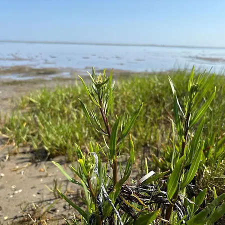 Tranquil Oasis With Pool - By Traum * Orsted (Midtjylland)