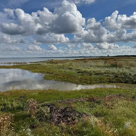 Tranquil Oasis With Pool - By Traum * Ørsted