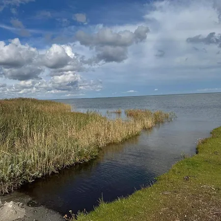 Tranquil Oasis With Pool - By Traum