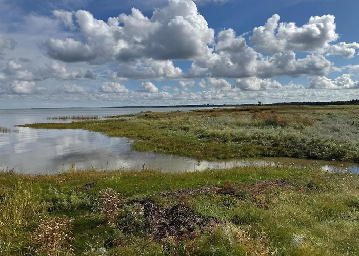 Tranquil Oasis With Pool - By Traum * Orsted (Midtjylland)